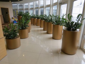 aquaticum hotel 64