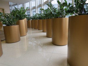 aquaticum hotel 65